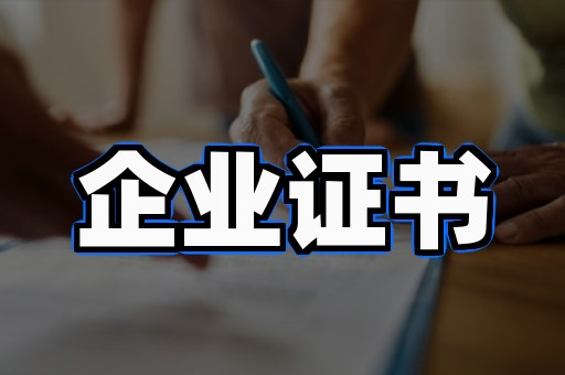 某科技公司资质证件定制案例
